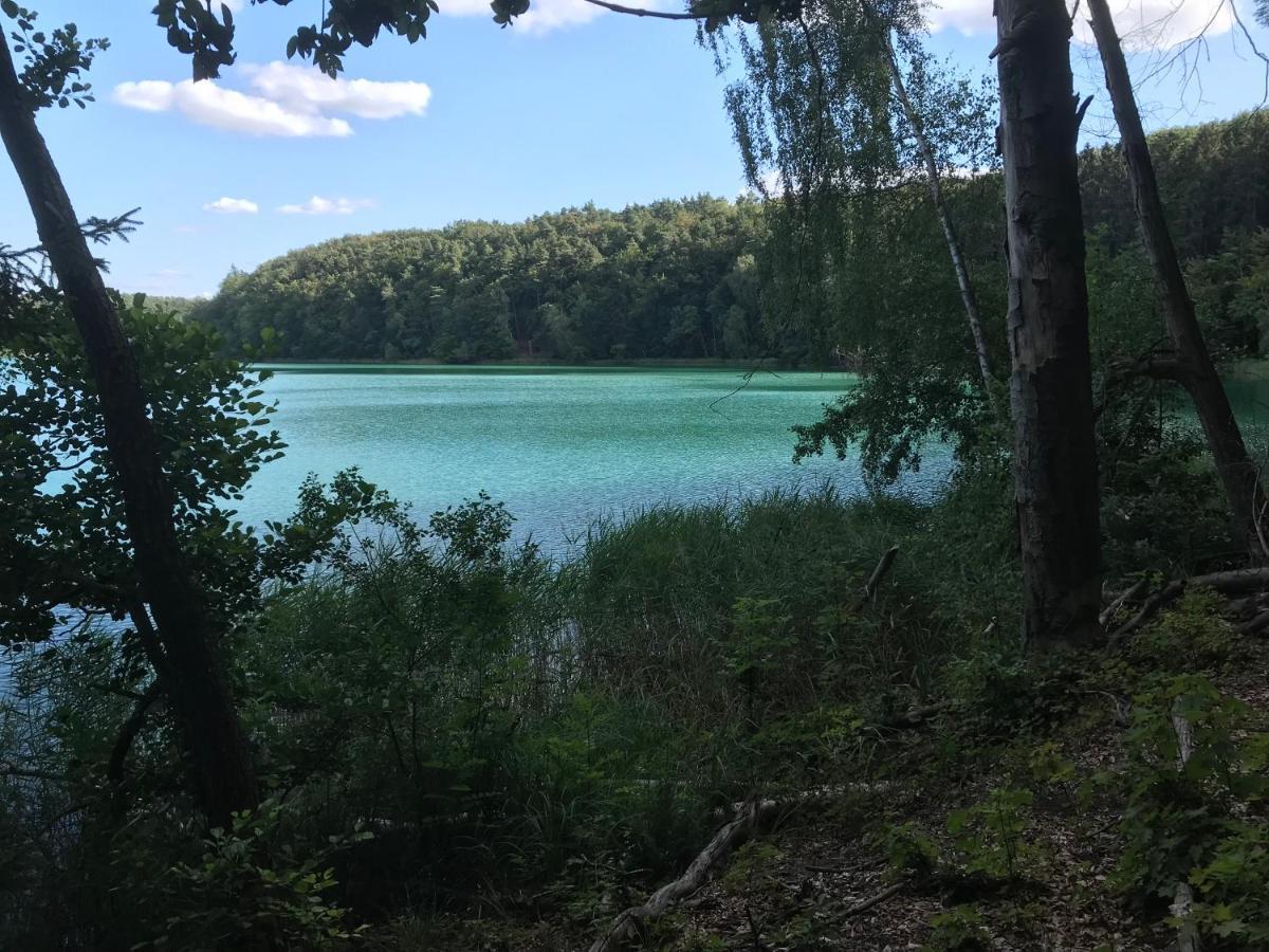 Vila Agroturystyka "Zielone Zacisze" Łagów Exteriér fotografie